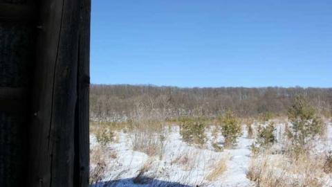 Feb 2013 - Buffalo-Compound12.jpg