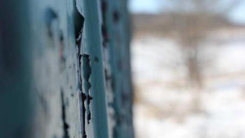 Feb 2013 - Buffalo-Compound18.jpg