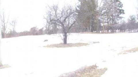 Photo from Demolished