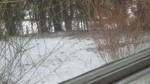 Park Home - Eldorado-Park-Home93.jpg