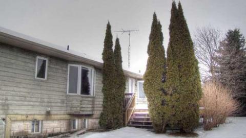 Arrrgh - Damned-Developers64.jpg