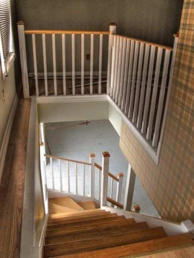 Damned Developers photo 2