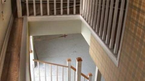 Damned Developers photo 2