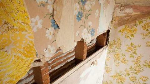 Photo from July 2008