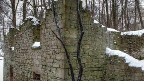 Winter Shots - Barber-Dynamo83.jpg