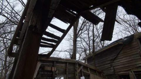 Feb 2013 - DSC01186.jpg