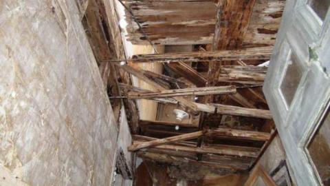 Feb 2013 - DSC01189.jpg