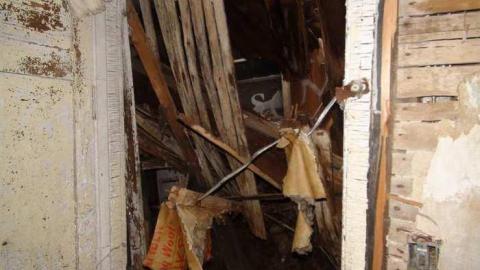 Feb 2013 - DSC01192.jpg