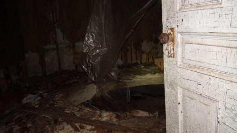 Feb 2013 - DSC01194.jpg