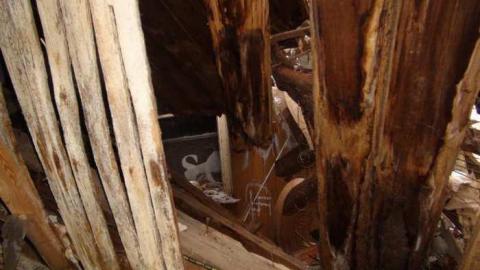 Feb 2013 - DSC01195.jpg