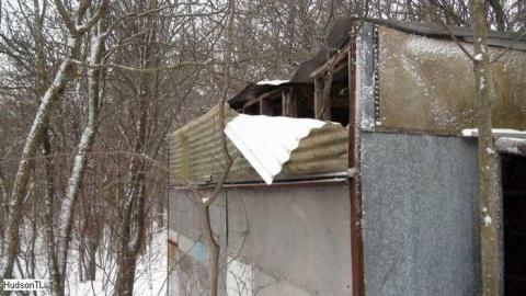 Honey Shack? - DSC01200.jpg