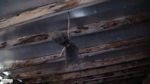 Honey Shack? - DSC01201.jpg