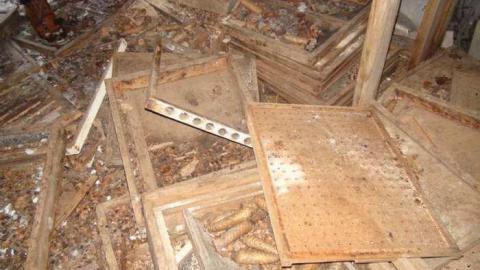 Honey Shack? - DSC01203.jpg