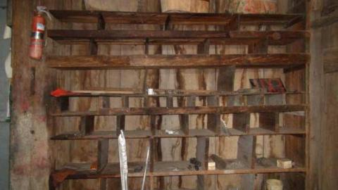 Feb 2013 - DSC01166.jpg