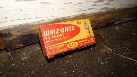 Feb 2013 - DSC01169.jpg