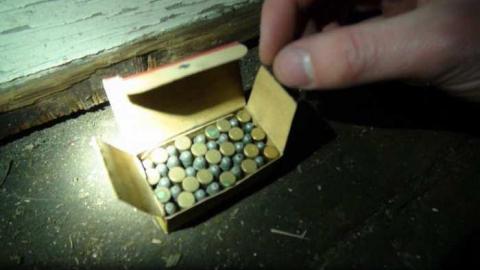 Feb 2013 - DSC01170.jpg