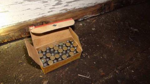 Feb 2013 - DSC01171.jpg