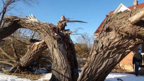 Feb 2013 - DSC01172.jpg