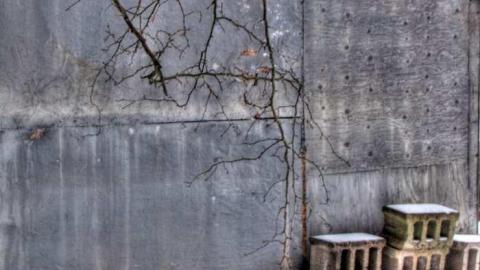 Be My Guest - 6a.jpg