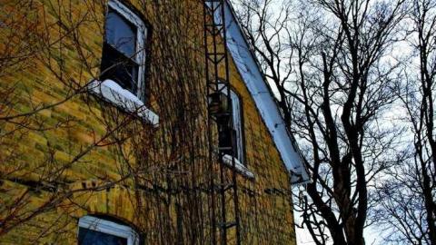 Photo from Snow Way Inn