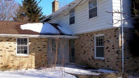 Coons Making A "Racquet" - P2210546.jpg