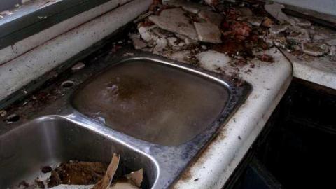 Coons Making A "Racquet" - P2210542.jpg