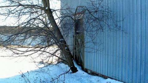 Photo from Coons Making A "Racquet"