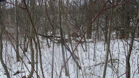 Quarry Residences - Queenston-Quarry-Residences1.jpg