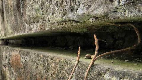 Quarry Residences - Queenston-Quarry-Residences11.jpg