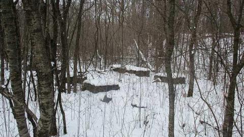 Quarry Residences - Queenston-Quarry-Residences2.jpg