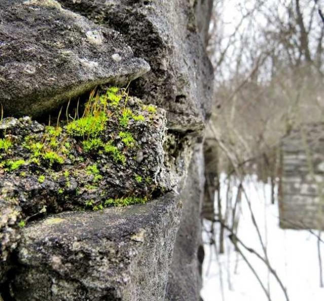 Queenston: Quarry Residences - Niagara-On-The-Lake, Ontario