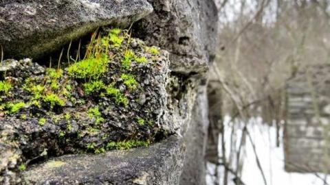 Quarry Residences - Queenston-Quarry-Residences9.jpg