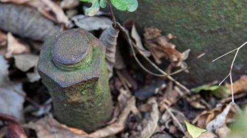 Queenston: Cold War Antenna photo 4