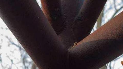 Queenston: Cold War Antenna photo 5