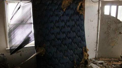 Feb. '13 Visit - Go-Green....or-Not.25.jpg