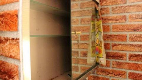 Feb. '13 Visit - Go-Green....or-Not.16.jpg