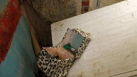 Feb. '13 Visit - Go-Green....or-Not.26.jpg