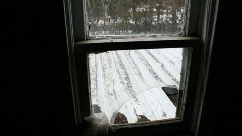 Feb. '13 Visit - Go-Green....or-Not.28.jpg