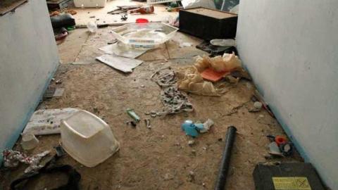 Feb. '13 Visit - Go-Green....or-Not.20.jpg