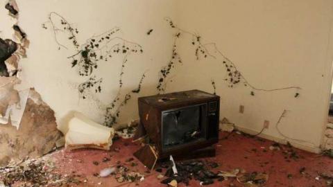 Feb. '13 Visit - The-Plainsman-Restaurant243.jpg