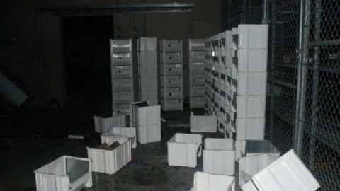 Photo from Feb. Visit