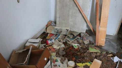 Photo from Feb 2013 Early Morning