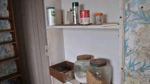 Feb. 2013 - DSC_0131.jpg