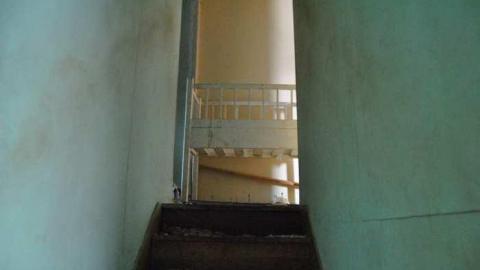 Feb. 2013 - DSC_0134.jpg