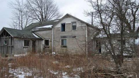 Feb. 2013 - DSC_0153.jpg