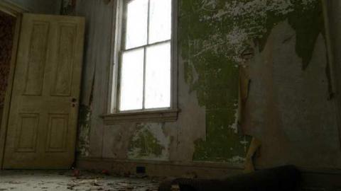 Possum Hook House - Hung-Up-On-Line-8954.jpg