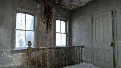 Possum Hook House - Hung-Up-On-Line-8968.jpg