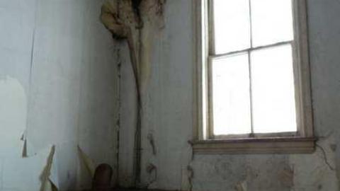 Possum Hook House - Hung-Up-On-Line-8976.jpg