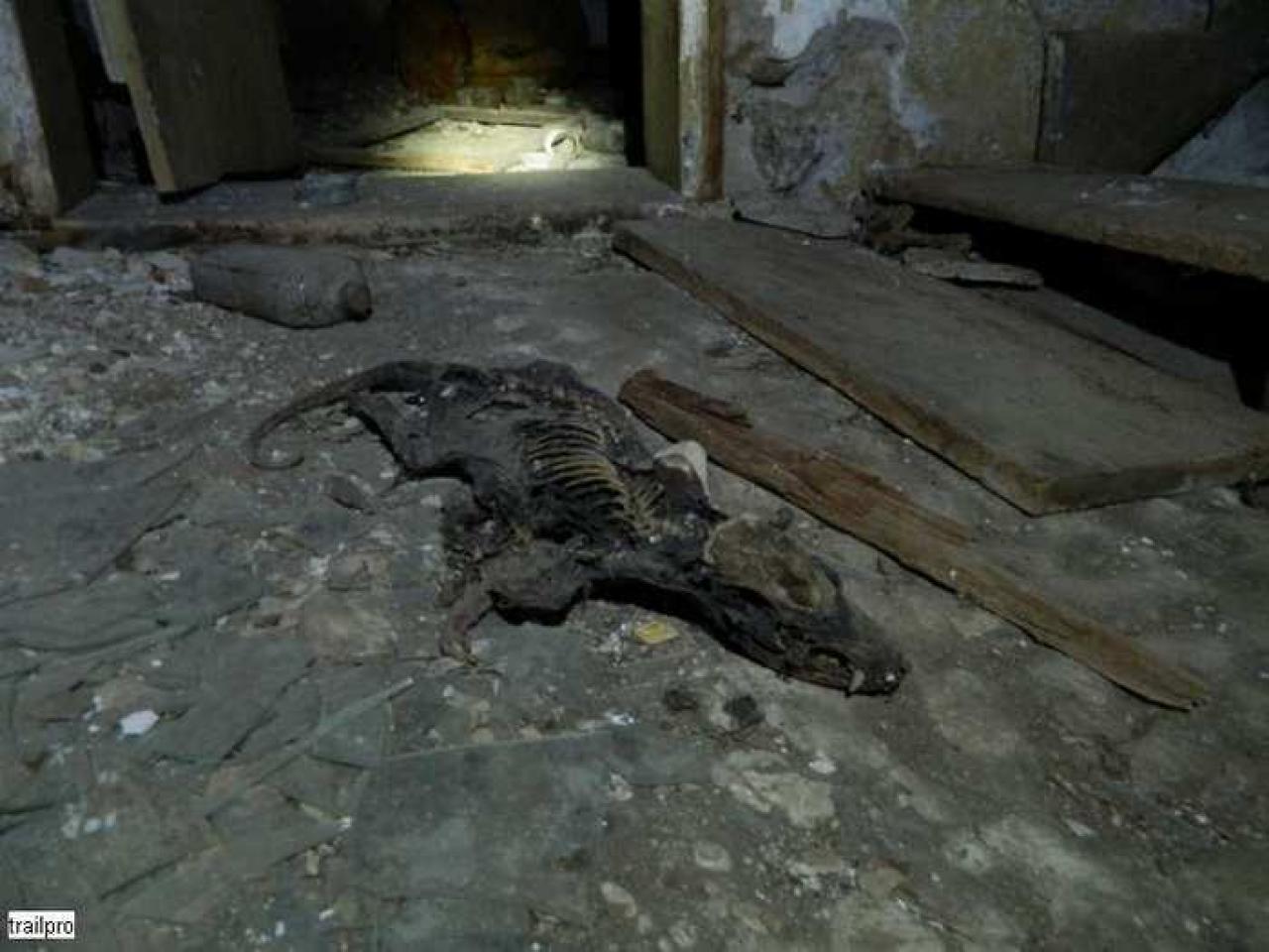 Possum Hook House - Hung-Up-On-Line-8942.jpg