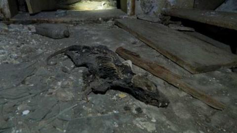 Hung Up On Line 89 photo 2